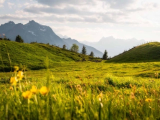 Urner Berglandschaft mit Sicht auf Bergkulisse, Heidmannegg